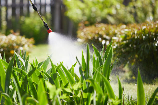 24/7 Emergency Fumigation Services experts in Cross Plains, WI