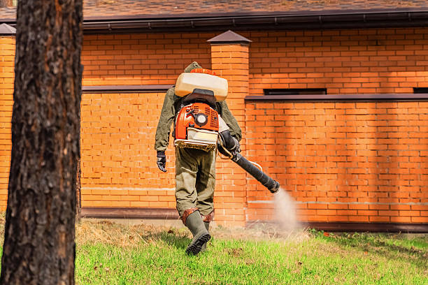 Trusted Bed Bug Control service in Cross Plains, WI - Nex Pest Control